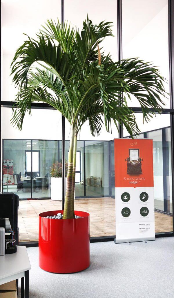 green-inside-location-palmier-600×1024