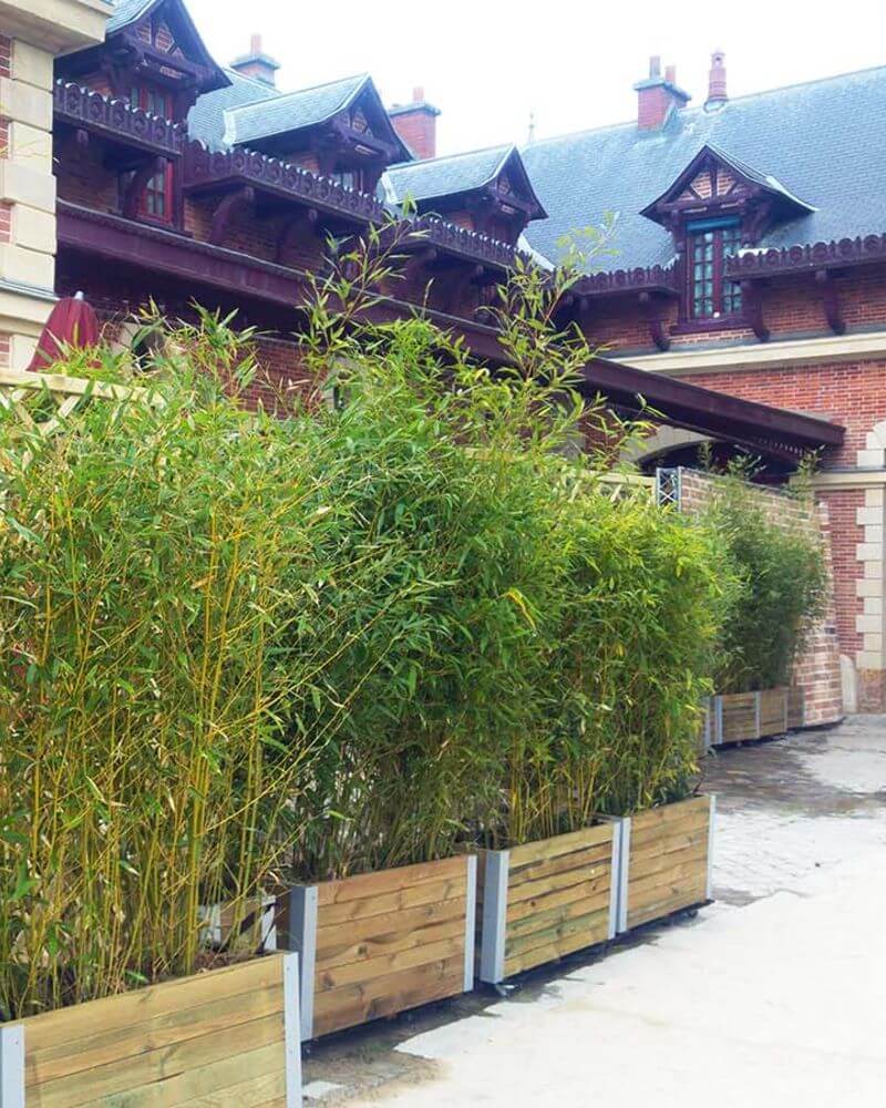 Green-Inside-location-bambou-bagatelles