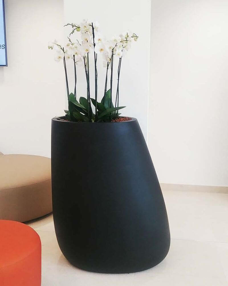 TM27 déco florale